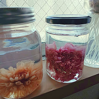 カーネーション シリカゲルドライフラワーのインテリア実例 Roomclip ルームクリップ