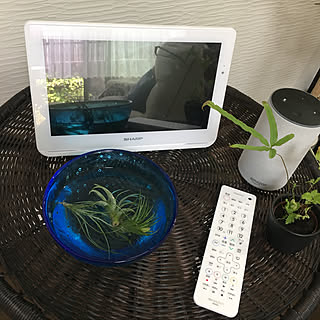 WiFi TV/シャープ AQUOS/アレクサが活躍中/毎度お馴染みの…。/コメントありがと♡...などのインテリア実例 - 2019-07-19 00:10:58