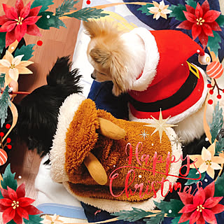 クリスマス/いいね、フォロー本当に感謝です♡/感謝｡.:*ฺ✤ฺ/見て頂きありがとうございます♡/部屋全体のインテリア実例 - 2019-12-26 00:00:46