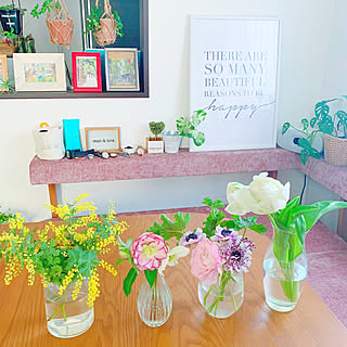 グリーンのある暮らし/花のある暮らし/植物のある暮らし/季節を感じる暮らし/ガーデニング...などのインテリア実例 - 2020-02-23 20:51:48