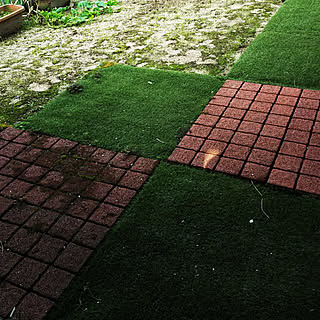 玄関/入り口/庭先の花と。/ヴィンテージ/セリア/いいね、フォロー本当に感謝です♡...などのインテリア実例 - 2019-07-15 07:52:02