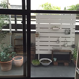 玄関/入り口/ガーデン/シェルフDIY/網戸の張り替え/賃貸...などのインテリア実例 - 2016-05-25 09:42:40