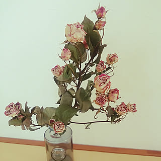 玄関/入り口/保存されるpicを目指して/いいね&フォローありがとうございます☆/いつもいいね!ありがとうございます♪/拙いコメントゴメン(>_<)ゞ...などのインテリア実例 - 2017-09-05 09:02:36