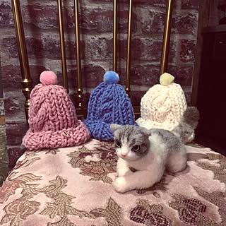 棚/オーダー品/ニット帽猫用/手編み/NO CAT,NO LIFE❤️...などのインテリア実例 - 2017-02-03 23:30:16