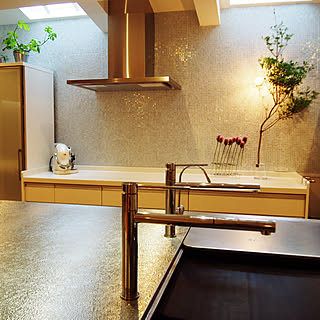 トールボーイ/トーヨーキッチンの水栓/カフェマシーン/トーヨーキッチン/フィラメントLED...などのインテリア実例 - 2020-08-01 10:45:46
