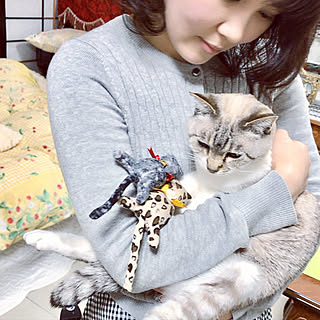 ベッド周り/みなさんのエールに感謝♡/復活しました♡/マンション暮らし/猫が好き♡...などのインテリア実例 - 2018-03-21 22:15:17