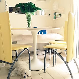 部屋全体/犬のいる暮らし/ソファーＤＩＹ/IKEA一目惚れテーブル/雑貨...などのインテリア実例 - 2016-06-22 13:08:58