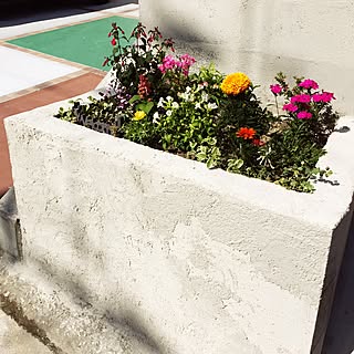 花壇 コンクリートブロックのインテリア実例 Roomclip ルームクリップ 花壇 コンクリートブロックのインテリア実例 Roomclip ルームクリップ