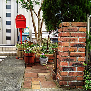 シマトネリコ 冬の庭のインテリア実例 Roomclip ルームクリップ