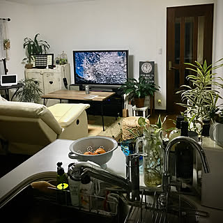 カメラマークが消えた(〃ω〃)ホッ/訪問に感謝☆〜/お知り合いになれて嬉しい♡/自己満足( 〃▽〃)/ひとり時間♡...などのインテリア実例 - 2020-01-23 23:29:08