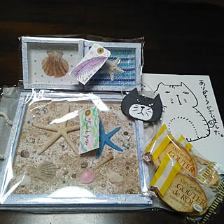 棚/2017.06.25/猫と暮らす/Present企画/押し逃げゴメンなさぃ|ω˂̶๑)੭༡...などのインテリア実例 - 2017-06-25 16:20:45