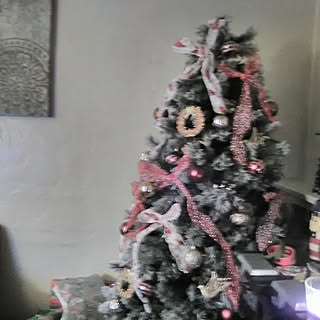 リビングのインテリア実例 - 2019-12-06 06:46:26