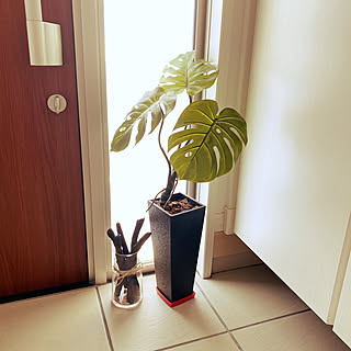 備長炭で消臭のインテリア実例 Roomclip ルームクリップ