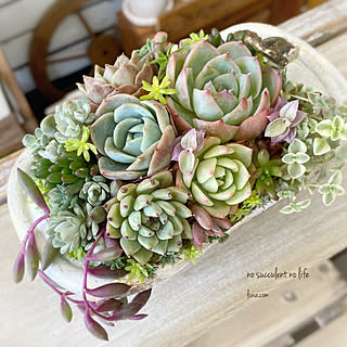 成長記録です のインテリア実例 Roomclip ルームクリップ