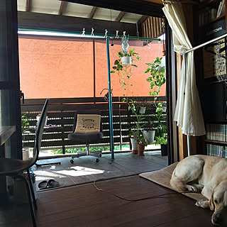 廃材リメイク 大型犬と暮らすのインテリア実例 Roomclip ルームクリップ