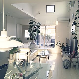 マダガスカルジャスミンのインテリア実例 Roomclip ルームクリップ