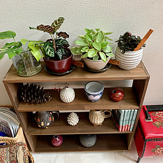 観葉植物 花瓶 のおしゃれなアレンジ 飾り方のインテリア実例 Roomclip ルームクリップ 観葉植物 花瓶 のおしゃれなアレンジ 飾り方のインテリア実例 Roomclip ルームクリップ