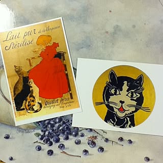 ポストカード/猫のインテリア実例 - 2012-05-12 00:23:57