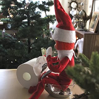 お食事中の方すみません のインテリア実例 Roomclip ルームクリップ