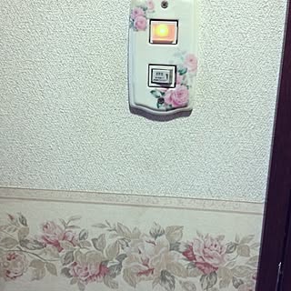 壁/天井/薔薇のインテリア実例 - 2012-08-02 09:12:23