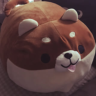 棚/愚痴でごめんなさい/抱き枕/柴犬/フォロワー様1400名様超!感謝です♡...などのインテリア実例 - 2017-08-31 01:11:33