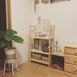 20209.1.23/ウンベラータ/いつもいいねありがとうございます♡/フォローありがとうございます♡/雑貨...などのインテリア実例 - 2020-01-23 08:14:05