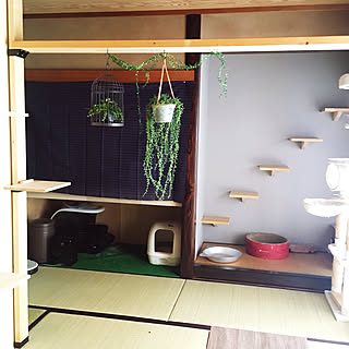 ニトリ キャットウォークdiyのインテリア 手作りの実例 Roomclip ルームクリップ