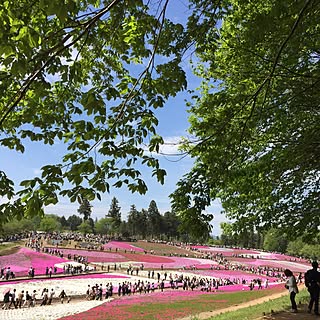 玄関/入り口/羊山公園/ガーデニング/一人暮らし/ナチュラル...などのインテリア実例 - 2017-05-04 16:06:10