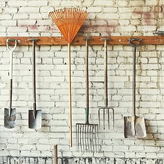 玄関/入り口/グリーン/畑/園芸工具/家庭菜園...などのインテリア実例 - 2016-03-02 07:51:37