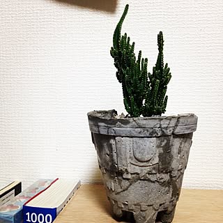 Diy 自作の植木鉢のインテリア 手作りの実例 Roomclip ルームクリップ