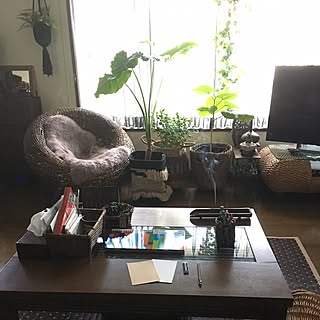 机/クーピーは相棒♡/zoneしゃま♡/journal standard Furniture/賃貸戸建でも楽しく♪...などのインテリア実例 - 2017-07-01 17:39:42