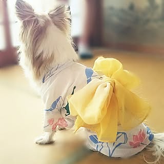 部屋全体/フォロワーさんに感謝♥/RCの出会いに感謝♡/ありがとうございます♡/感謝です♡...などのインテリア実例 - 2017-06-11 19:40:28