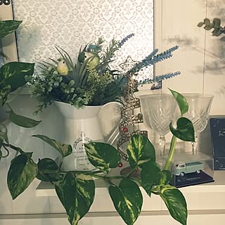 棚/ダイソー/観葉植物/いいね!押し逃げばかりでごめんなさい。/いつもいいねやコメありがとうございます♡...などのインテリア実例 - 2016-12-21 10:42:53
