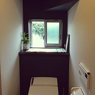 観葉植物 階段下のトイレのおしゃれなアレンジ 飾り方のインテリア実例 Roomclip ルームクリップ