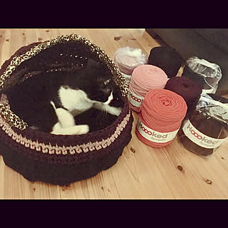 猫ベッド手編み/ヒョウ柄/いいね&コメントいつもありがとう♡/手作り雑貨/Tシャツヤーン...などのインテリア実例 - 2019-09-11 16:26:04