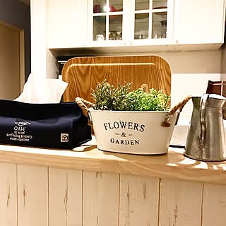 キッチン/フェイクグリーン/木目調壁紙/板壁風壁紙/ホワイト大好きのインテリア実例 - 2017-02-17 19:58:58