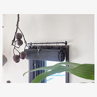 カーテン代わりのインテリア実例 Roomclip ルームクリップ