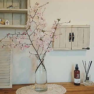 桜 切り花のインテリア実例 Roomclip ルームクリップ 桜 切り花のインテリア実例 Roomclip ルームクリップ