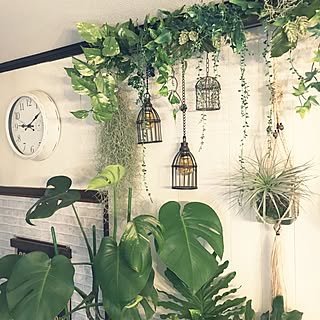 壁/天井/いつもいいねやコメありがとうございます♡/いいね!押し逃げばかりでごめんなさい。/NO GREEN NO LIFE/観葉植物...などのインテリア実例 - 2017-02-23 10:13:17
