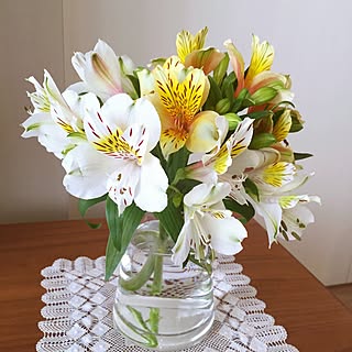 棚/Flower of the week/花のある暮らし/お花の名前忘れちゃいましたのインテリア実例 - 2016-04-24 15:45:43