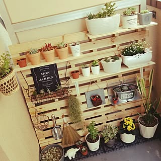 棚/100均/スノコDIY/チランジア/キャンドゥ...などのインテリア実例 - 2016-04-06 11:13:06