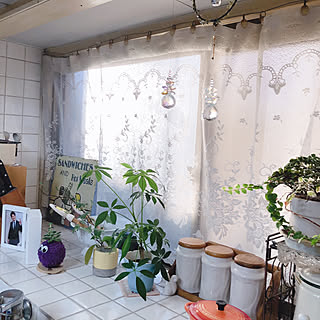 出窓 サンキャッチャーのインテリア実例 Roomclip ルームクリップ