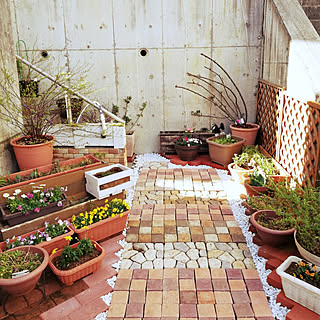 外階段下ガーデンのインテリア実例 Roomclip ルームクリップ