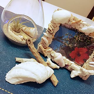 貝殻 写真立てのインテリア実例 ｜ RoomClip（ルームクリップ）