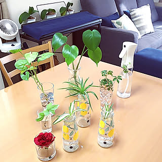 カインズホーム カインズのバスケットののまとめページ 116ページ目 Roomclip ルームクリップ カインズホーム カインズのバスケットののまとめページ 116ページ目 Roomclip ルームクリップ