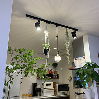 ダクトレール 吊り下げ観葉植物のおしゃれなアレンジ 飾り方のインテリア実例 Roomclip ルームクリップ