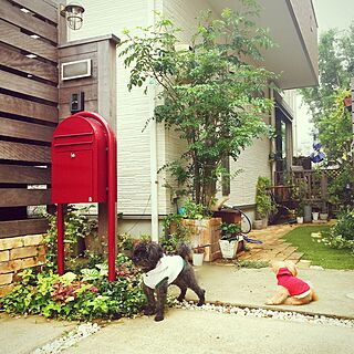 植物 エクステリアのインテリア実例 Roomclip ルームクリップ