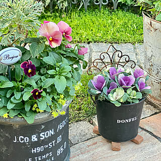 ガーデニング 狭い庭のインテリア実例 Roomclip ルームクリップ