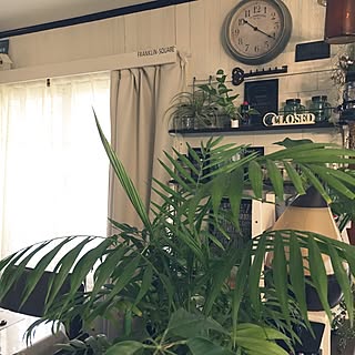 棚/雑貨/ダイソー/100均/いいね!押し逃げばかりでごめんなさい。...などのインテリア実例 - 2016-12-19 10:25:50