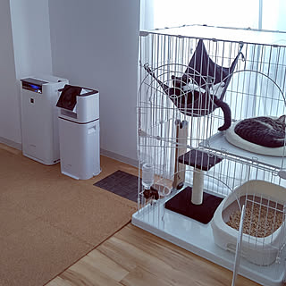 ニトリ 猫 ケージのインテリア実例 | RoomClip(ルームクリップ)